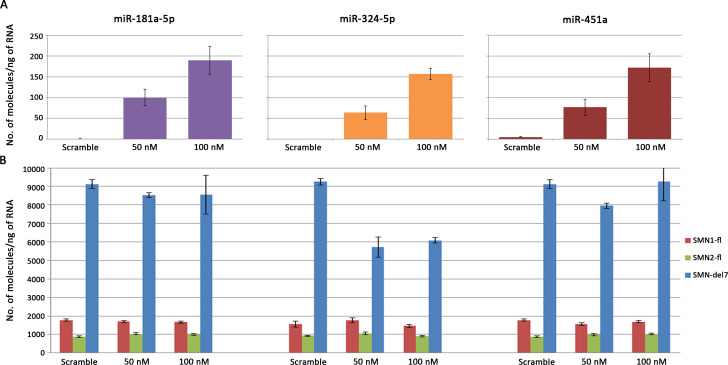 Figure 3—figure supplement 4.