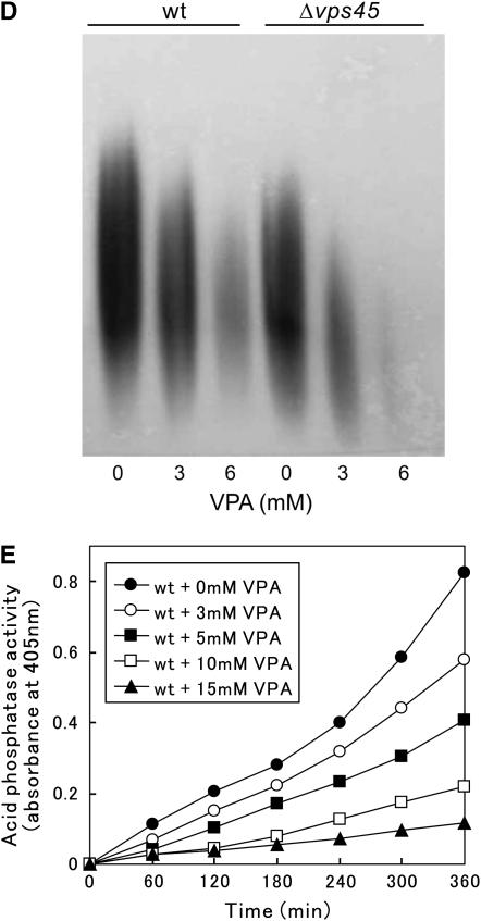 Figure 5.—