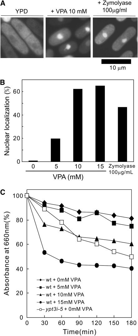 Figure 7.—