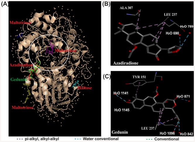 Fig 9