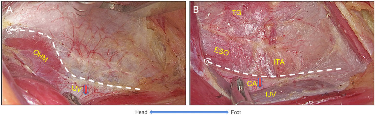 Figure 2