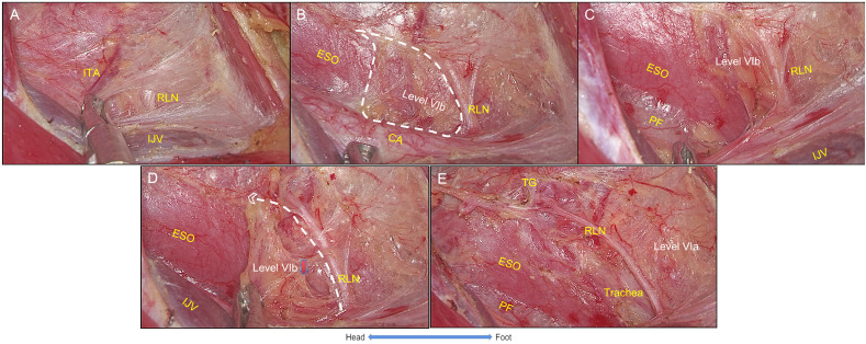 Figure 3