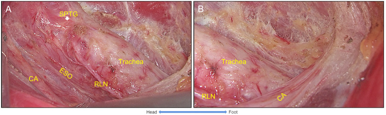 Figure 6