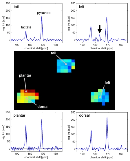 Figure 5: