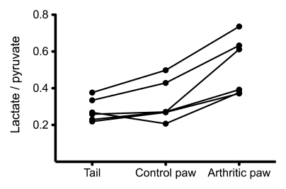 Figure 4: