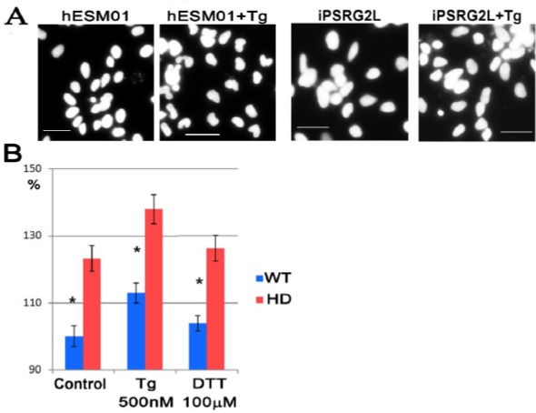 Figure 2: