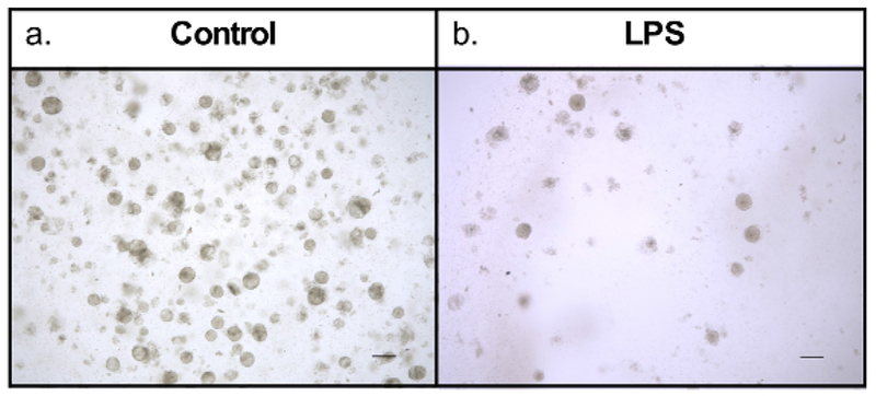 Figure 4: