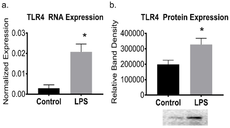 Figure 5: