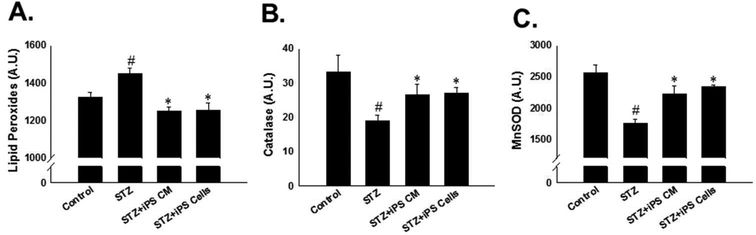 Figure 4: