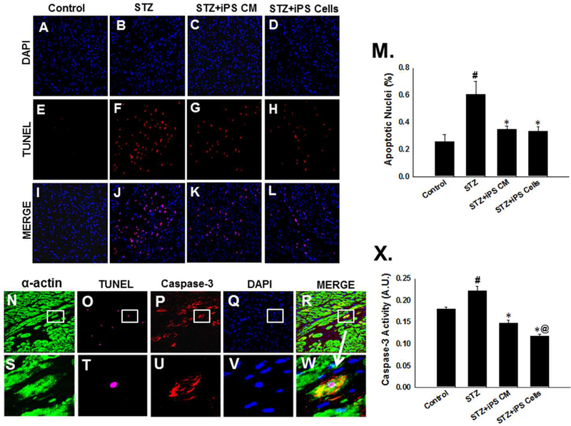 Figure 2: