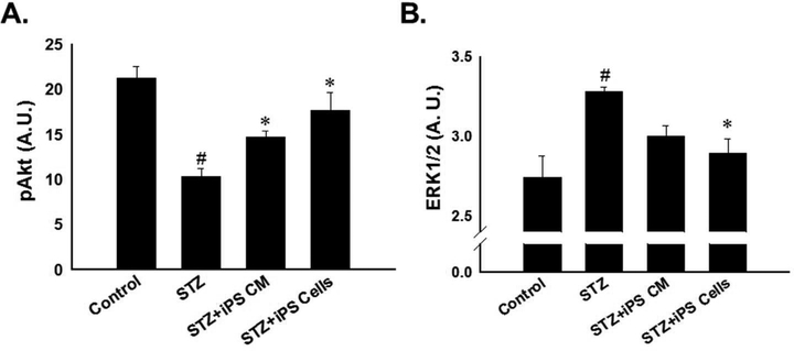 Figure 3: