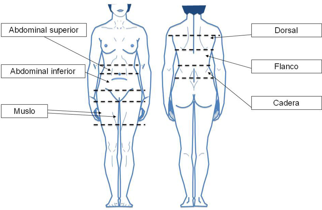 Figura 1