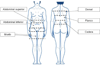 Figura 1