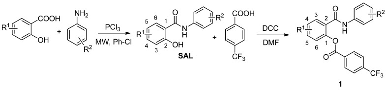 Scheme 1