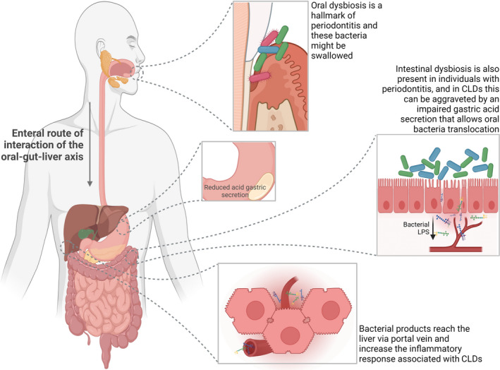 FIGURE 3