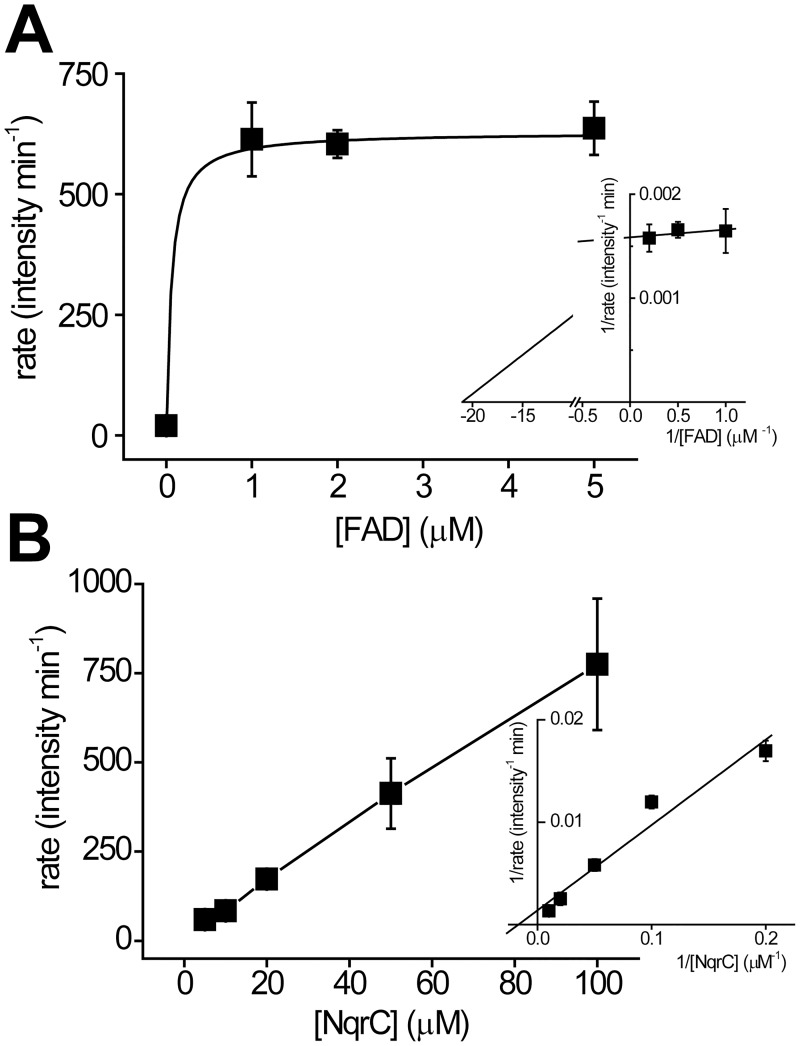 Fig 5