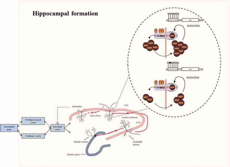 Figure 7.