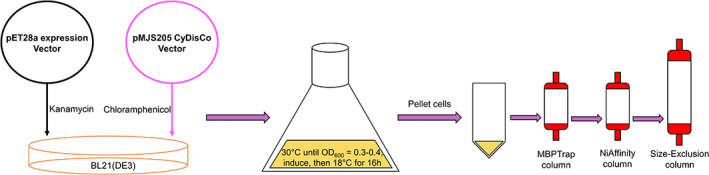 FIGURE 3