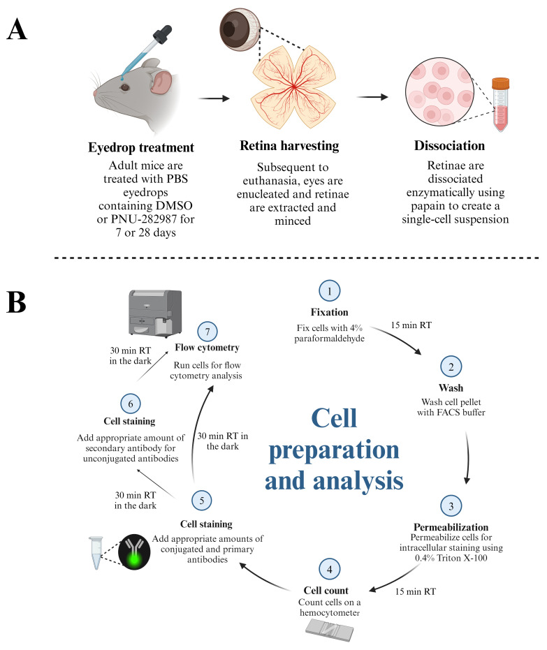 graphic file with name BioProtoc-14-13-5024-ga001.jpg