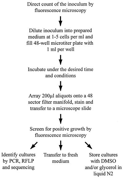 FIG. 1.