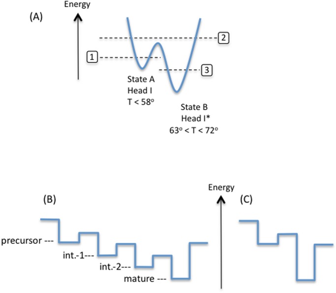 FIG 6 