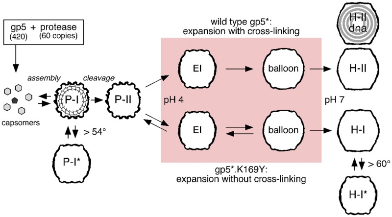 FIG 1 