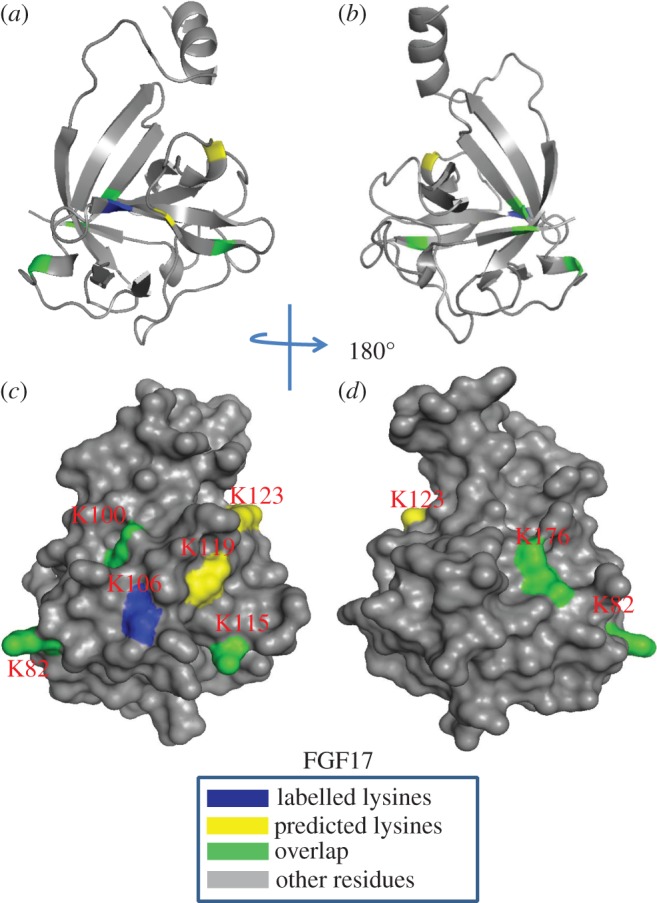 Figure 11.