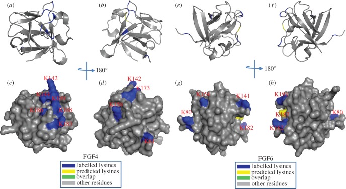 Figure 10.