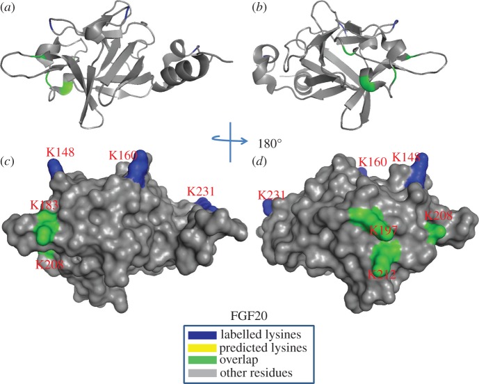 Figure 12.