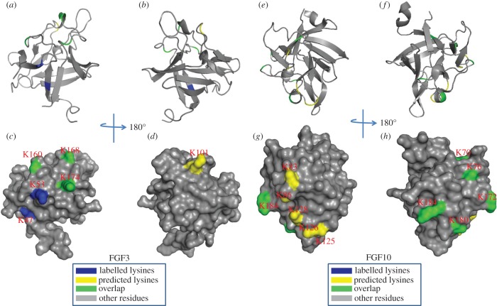 Figure 9.