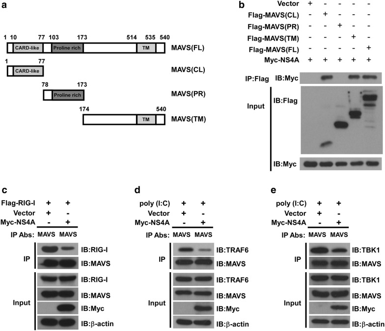 Fig. 4