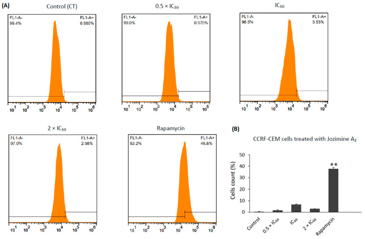 Figure 10