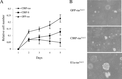 FIG. 6.