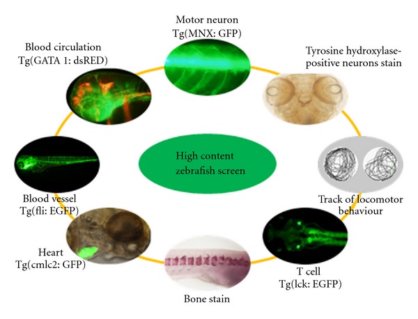 Figure 4