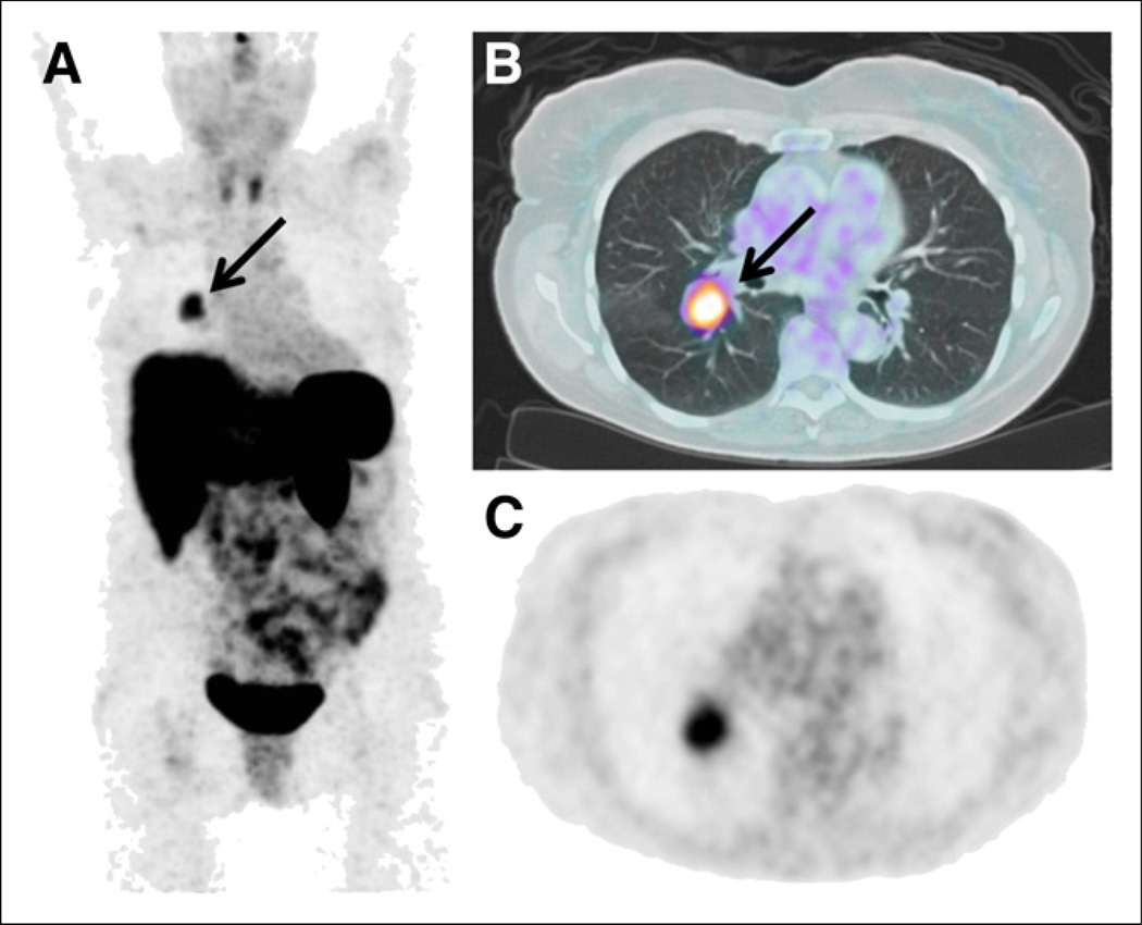 FIGURE 1