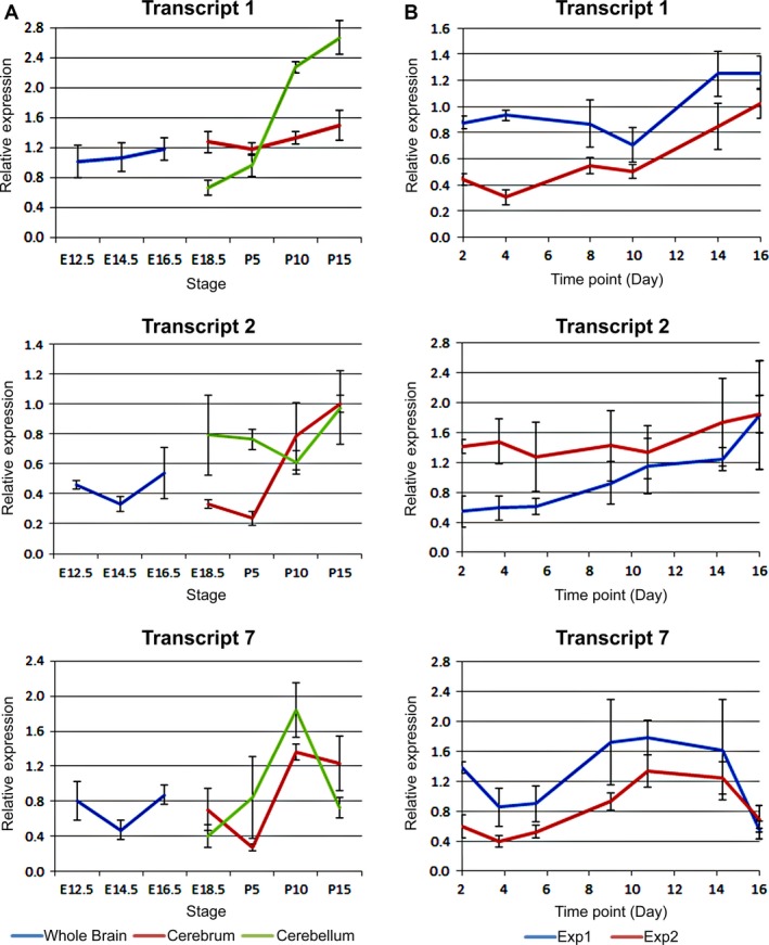 Figure 11