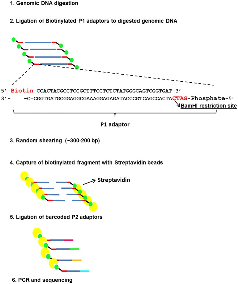 Fig 1