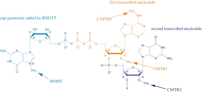 Figure 1.