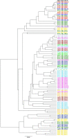 figs2