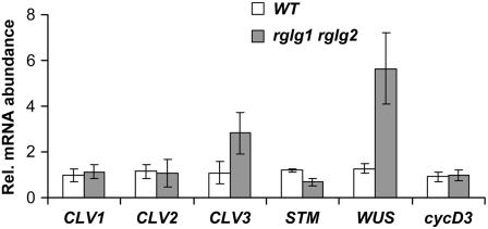 Figure 6.