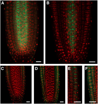 Figure 10.