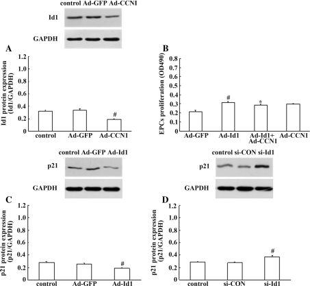 Fig. 6