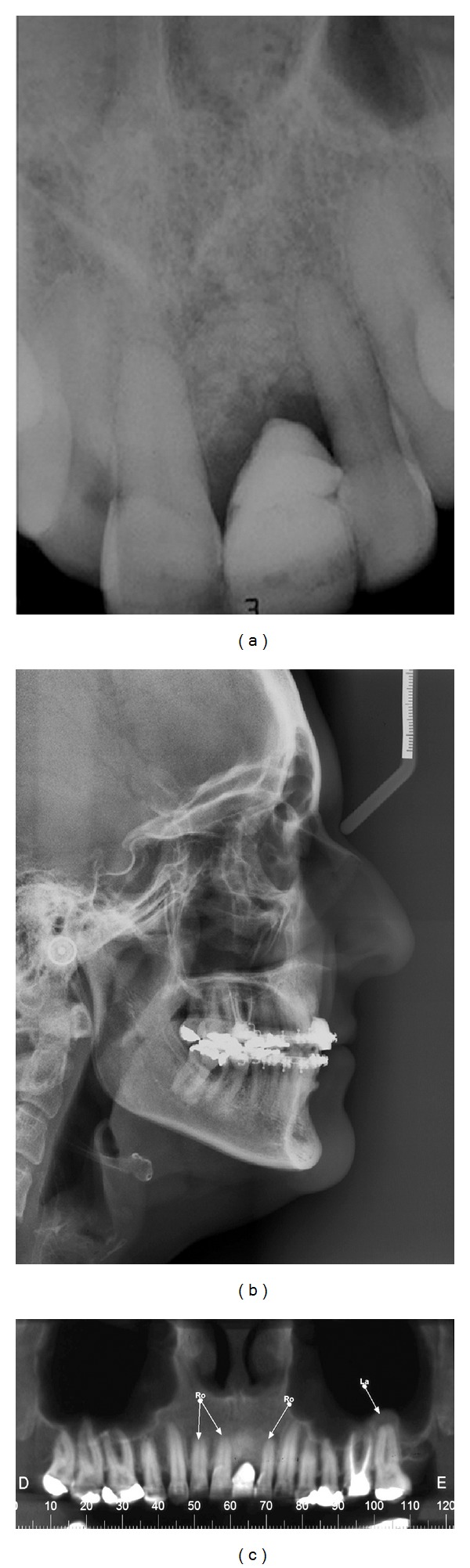 Figure 7