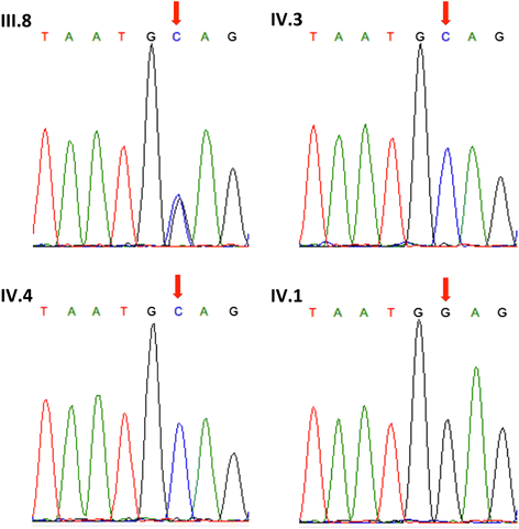 Fig. 4