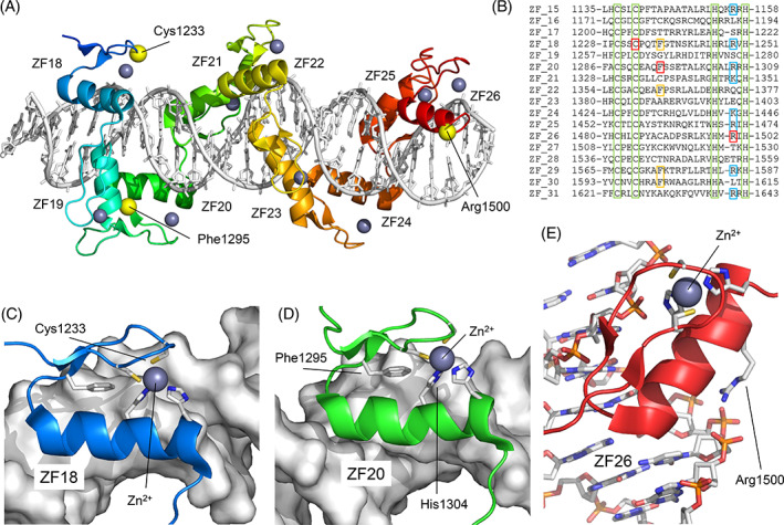 FIGURE 3