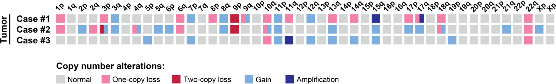 Figure 7.