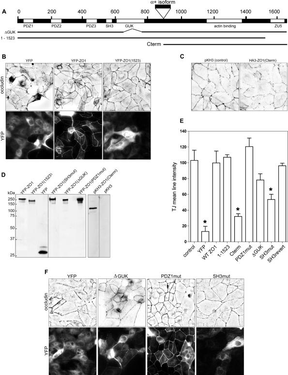 Figure 6.