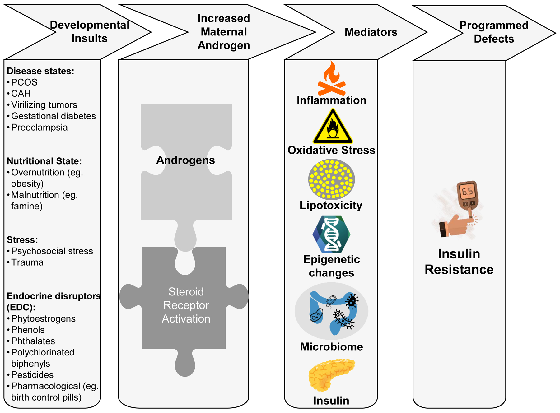 Figure 1: