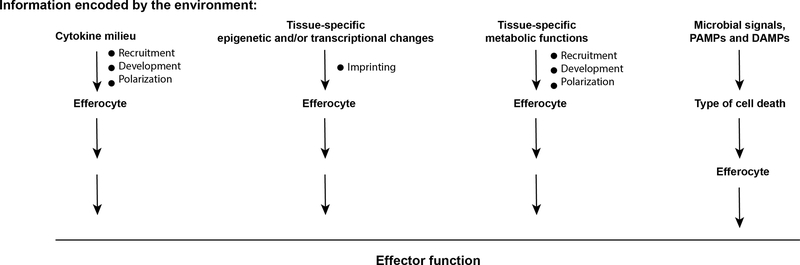 Figure 4 |