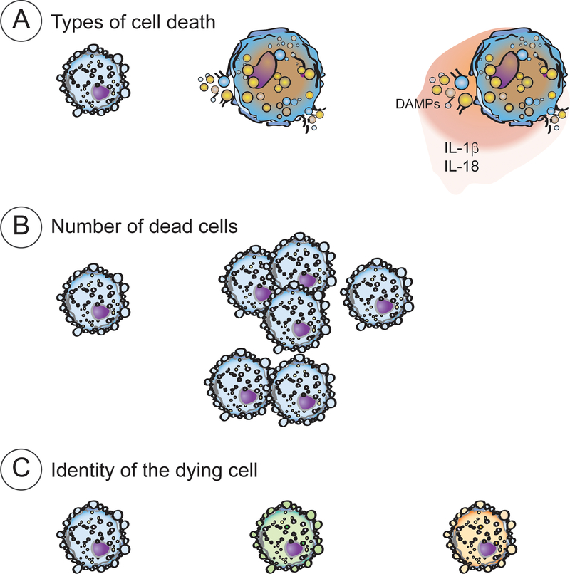 Figure 3 |